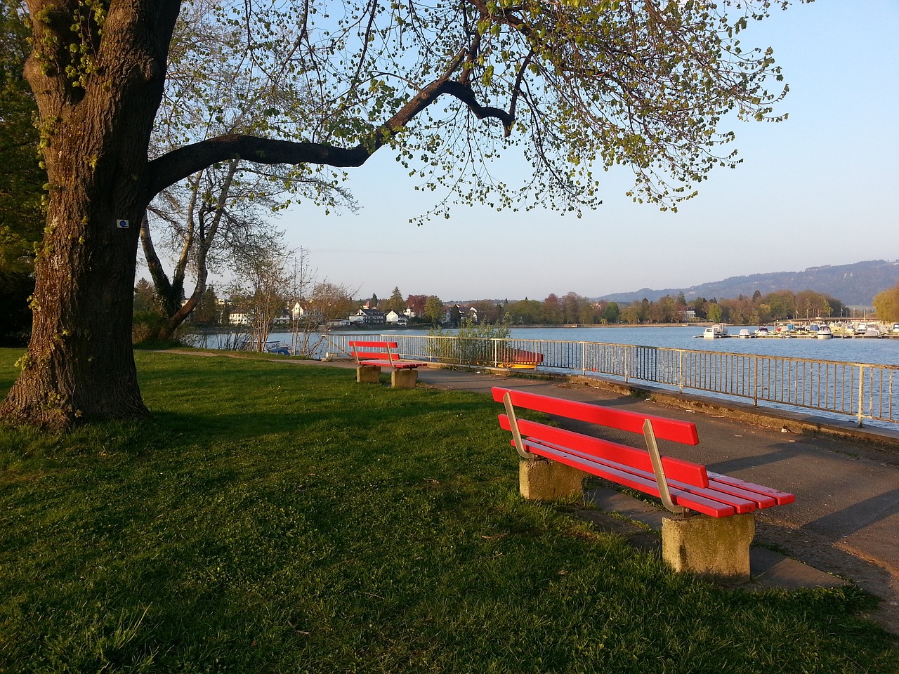 他依然憑藉 他依然憑藉