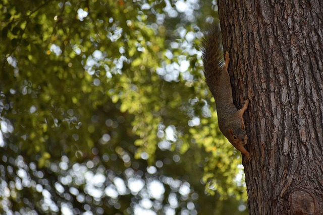 比赛中的争 比赛中的争