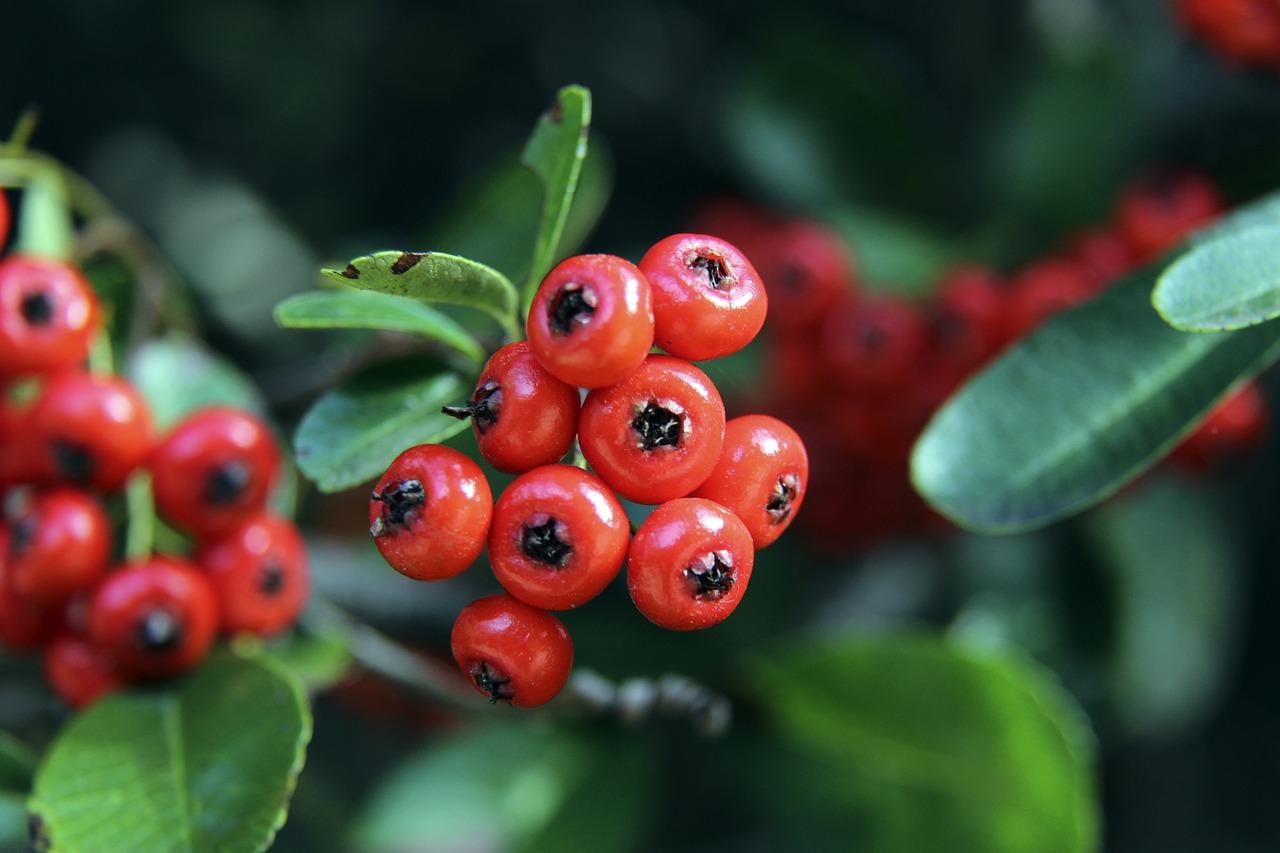 来说不仅仅 来说不仅仅