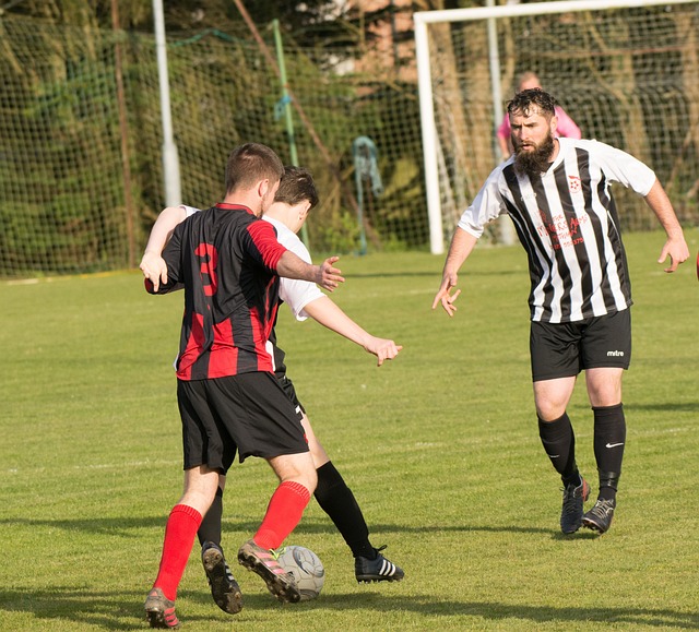 占得先机 占得先机